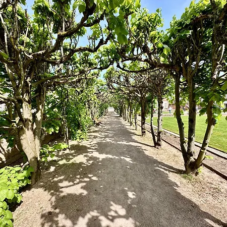 شقة Robin إرباخ