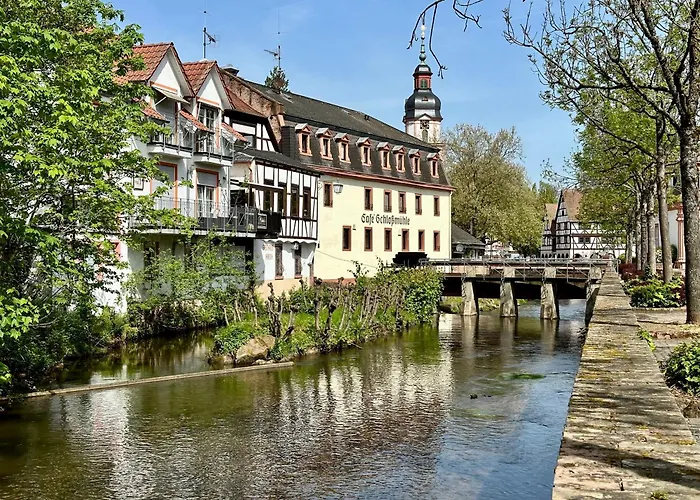 Robin * Erbach (Odenwaldkreis)