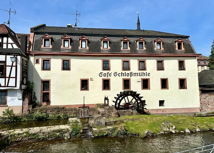 Robin * Erbach (Odenwaldkreis)