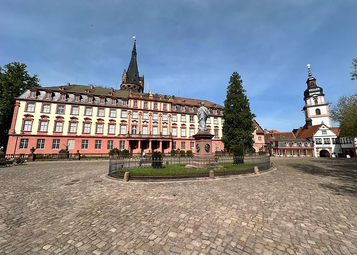 Robin Erbach (Odenwaldkreis)